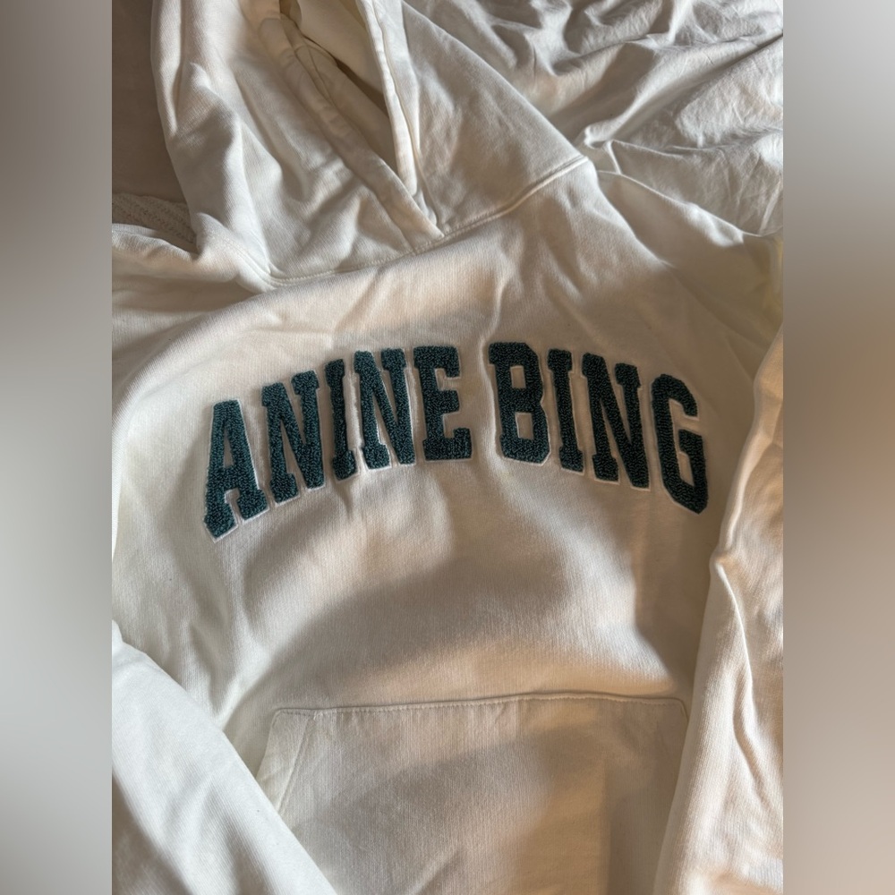 Anine Bing sweatshirt